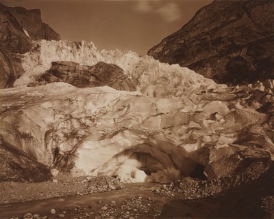 Sveits. Grindelwald, øvre isbre, kilde til Lutschine av Adolphe Braun