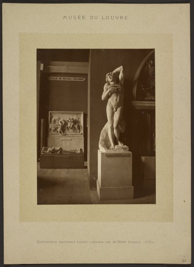  av Adolphe Braun