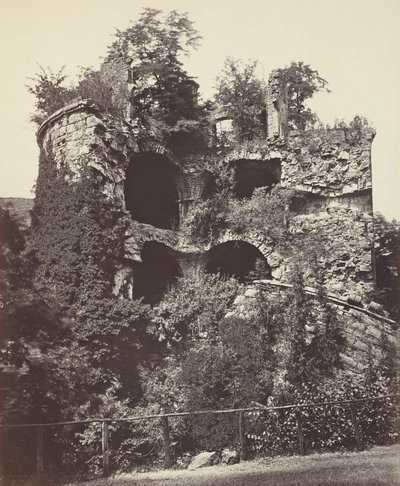  av Adolphe Braun