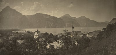  av Adolphe Braun