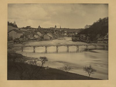 Utsikt over Schaffhausen, Sveits av Adolphe Braun