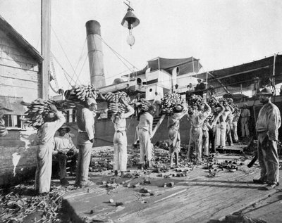 Laster bananer, Port Antonio, Jamaica, c1905. av Adolphe Duperly and Son
