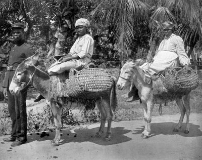 Til fengselet, Jamaica, c1905. av Adolphe Duperly and Son