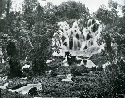 Roaring River Falls, Jamaica, c1905. av Adolphe Duperly and Son
