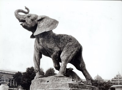 Ung elefant fanget i en felle (1878) av Emmanuel Fremiet (1824-1910) foran Trocadero-palasset, konstruert for den universelle utstillingen (1878), Paris, 1888 av Adolphe Giraudon