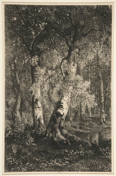 Bøkene av Adolphe Martial Potemont