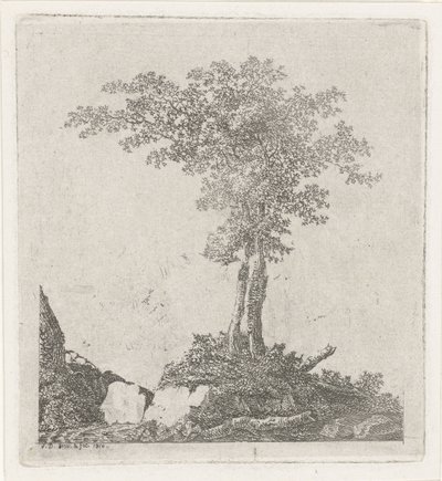 To trær av Adriaan Jacob Willem van Dielen