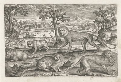 Aper og katter Firebeinte dyr (serietittel) Animalivm Qvaddrvpedvm (serietittel) av Adriaen Collaert
