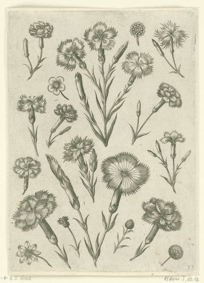 Ulike sinne Florilegium (serietittel) av Adriaen Collaert