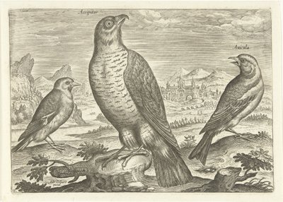 Tre fugler i et landskap Fugler (serietittel) Avium vivae (serietittel) av Adriaen Collaert