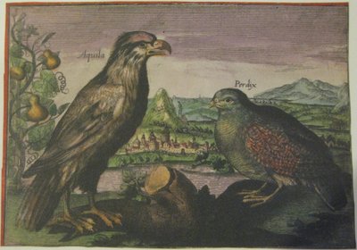  av Adriaen Collaert