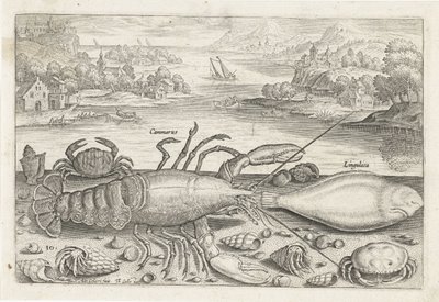 En fisk og noen krepsdyr på stranden Fiske (serietittel) Piscivm vivae-ikoner (serietittel) av Adriaen Collaert