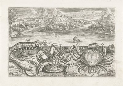 Noen krepsdyr på stranden Fiske (serietittel) Piscium vivae-ikoner (serietittel) av Adriaen Collaert