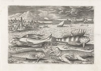 Noen fisk og en hvalross på stranden Fiske (serietittel) Piscivm vivae-ikoner (serietittel) av Adriaen Collaert