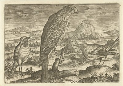 Noen fugler i et landskap Fugler (serietittel) Avivm vivae (serietittel) av Adriaen Collaert