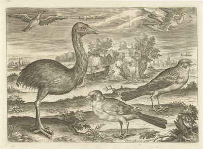 Noen fugler i et landskap Fugler (serietittel) Avivm vivae (serietittel) av Adriaen Collaert