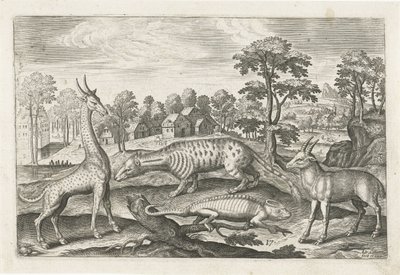 eksotiske dyr Firebeinte dyr (serietittel) Animalivm Qvaddrvpedvm (serietittel) av Adriaen Collaert