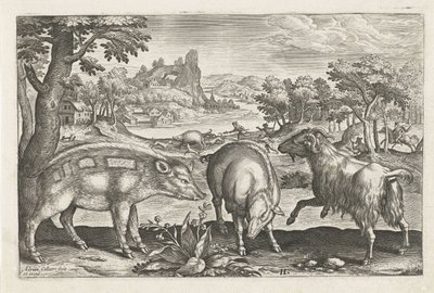 Geit og villsvin Firebeinte dyr (serietittel) Animalivm Qvaddrvpedvm (serietittel) av Adriaen Collaert