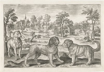 hunder Firebeinte dyr (serietittel) Animalivm Qvaddrvpedvm (serietittel) av Adriaen Collaert