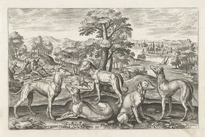 jakthunder Firebeinte dyr (serietittel) Animalivm Qvaddrvpedvm (serietittel) av Adriaen Collaert