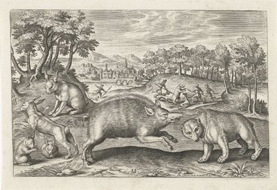 jakt vilt Firebeinte dyr (serietittel) Animalivm Qvaddrvpedvm (serietittel) av Adriaen Collaert