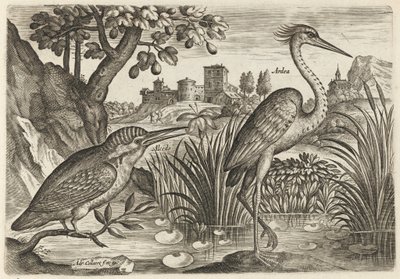  av Adriaen Collaert