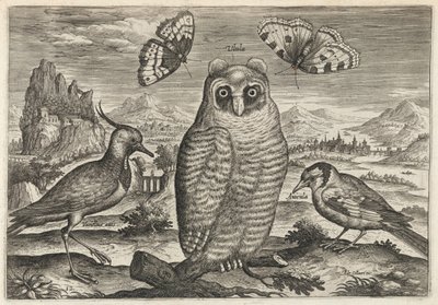  av Adriaen Collaert
