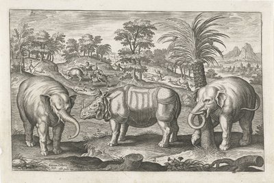 Elefanter og neshorn Firebeinte dyr (serietittel) Animalivm Qvaddrvpedvm (serietittel) av Adriaen Collaert