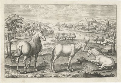 Hest og esler Firebeinte dyr (serietittel) Animalivm Qvaddrvpedvm (serietittel) av Adriaen Collaert