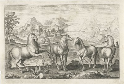 Hester Firebeinte dyr (serietittel) Animalivm Qvaddrvpedvm (serietittel) av Adriaen Collaert