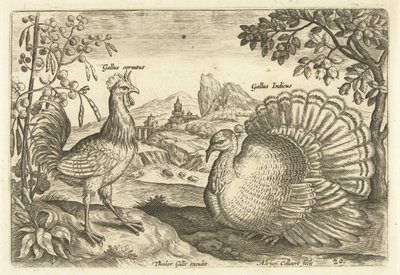 To høner i et landskap Avium Vivae (serietittel) Fugler (serietittel) av Adriaen Collaert