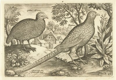 Two Fowls in a Landscape Avivm Vivae (serietittel) Birds (serietittel) av Adriaen Collaert