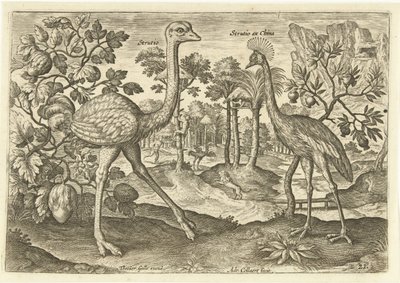 To flygende fugler i et landskap Avium Vivae (serietittel) Fugler (serietittel) av Adriaen Collaert