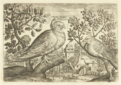 To fugler i et landskap Avium Vivae (serietittel) Fugler (serietittel) av Adriaen Collaert