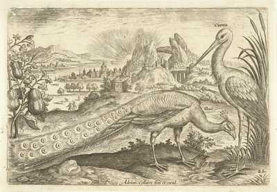 To fugler i et landskap Avium Vivae (serietittel) Fugler (serietittel) av Adriaen Collaert