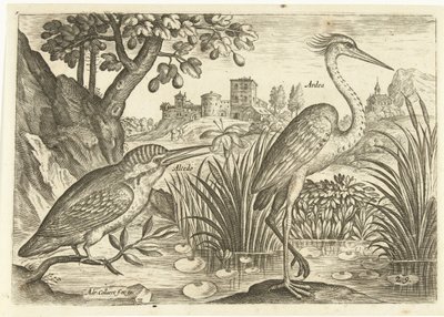 To fugler i et landskap Fugler (serietittel) Avium Vivae (serietittel) av Adriaen Collaert