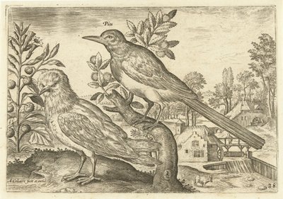 To fugler i et landskap Fugler (serietittel) Avium Vivae (serietittel) av Adriaen Collaert