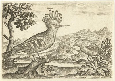 To fugler i et landskap Fugler (serietittel) Avium Vivae (serietittel) av Adriaen Collaert