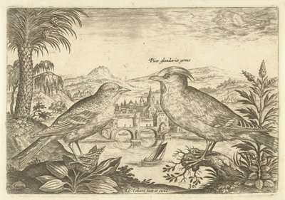 To fugler i et landskap Fugler (serietittel) Avium Vivae (serietittel) av Adriaen Collaert