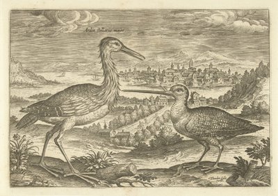 To fugler i et landskap Fugler (serietittel) Avium vivae (serietittel) av Adriaen Collaert