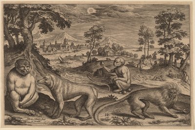 To aper og to aper av Adriaen Collaert