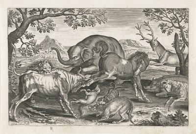 Kampdyr Firbeinte dyr (serietittel) Animalivm Qvaddrvpedvm (serietittel) av Adriaen Collaert