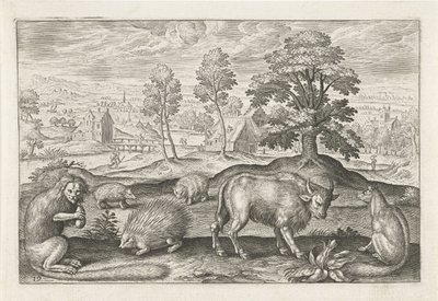 Ulike dyr Firebeinte dyr (serietittel) Animalivm Qvaddrvpedvm (serietittel) av Adriaen Collaert