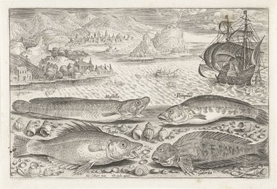 Fire fisker på stranden Fiske (serietittel) Piscium vivae-ikoner (serietittel) av Adriaen Collaert