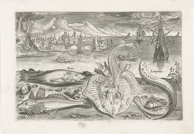 Fire fisker på stranden Fiske (serietittel) Piscium vivae-ikoner (serietittel) av Adriaen Collaert