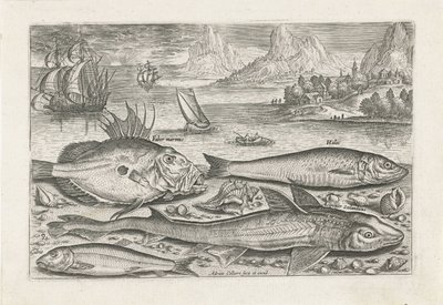 Fire fisker på stranden Fiske (serietittel) Piscium vivae-ikoner (serietittel) av Adriaen Collaert