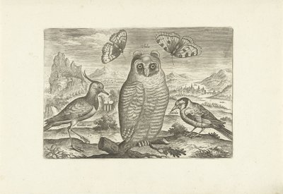 Fugler og sommerfugler i et landskap Fugler (serietittel) Avium vivae (serietittel) av Adriaen Collaert