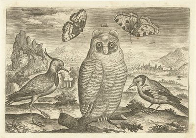 Fugler og sommerfugler i et landskap Fugler (serietittel) Avium vivae (serietittel) av Adriaen Collaert