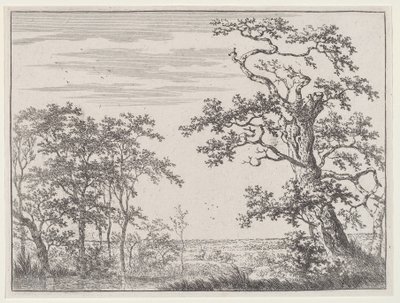 Landskap med en bekk og et eldgammelt tre av Adriaen Hendricks Verboom