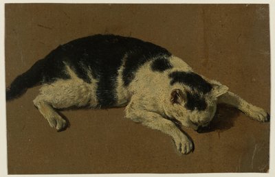 Katt liggende med hodet mellom forbena av Adriaen van de Velde (attributed to)